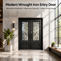 Porte d'entrée simple en fer forgé moderne avec verre trempé dépoli, anti-rouille, anti-effraction et étanche pour appartement urbain ou maison