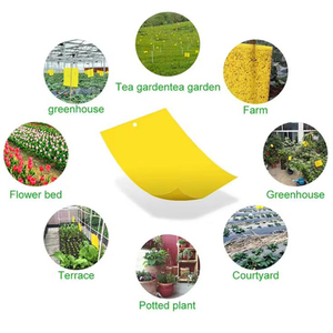 แผ่นกาวดักแมลงวันผลไม้สีเหลืองคุณภาพสูง ผลิตจากกระดาษเป็นมิตรกับสิ่งแวดล้อม สำหรับดักมด ขายส่ง กำจัดศัตรูพืช - Product Image 4