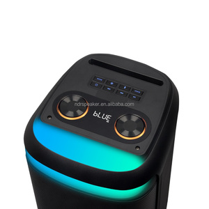 NDR-815 8-Inch Hoạt Động Không Dây Bt Karaoke Loa 2 Mic Đầy Màu Sắc Ánh Sáng Stereo Bass Hi-Fi Âm Nhạc Đảng Loa Ngoài Trời Sử Dụng - Product Image 5