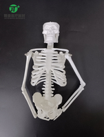 Squelette humain miniature éducatif en PVC de 45 cm