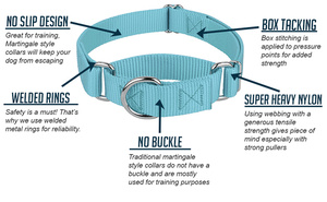 2025 patrón personalizado Logo poliéster nailon entrenamiento al aire libre Martingale perro <span class=keywords><strong>Collar</strong></span> cadena ajustable personalizado Martingale perro <span class=keywords><strong>Collar</strong></span> - Product Image 6