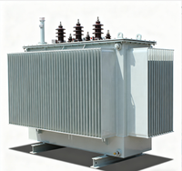 Transformateur toroïdal à trois phases immergé dans l'huile, faible bruit, 315 kVA - 1600 kVA, bobine cuivre/aluminium, équipement d'alimentation électrique, huile ondulée