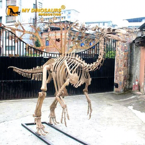 Mon modèle <span class=keywords><strong>de</strong></span> squelette <span class=keywords><strong>de</strong></span> dinosaure haute <span class=keywords><strong>simulation</strong></span> Dino <span class=keywords><strong>DS</strong></span>-117 pour expositions scientifiques - Product Image 1