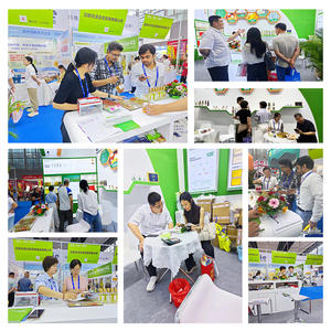 Huile d'onagre pressée à froid riche en acide gamma-linolénique, complément alimentaire - Product Image 5