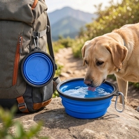 Bol pliable pour chien en silicone TPE personnalisé avec logo, portable, pour voyage, eau et nourriture, gamelle pour animaux de compagnie