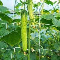PP Extruded Trellis Mesh Netting Klimnet Komkommer Trellis Net Groente Fruit Plant Ondersteuningsnet