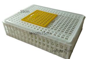 <span class=keywords><strong>Cage</strong></span> de <span class=keywords><strong>transport</strong></span> de poulet en plastique de 75*55*27cm pour oiseaux adultes - Product Image 2