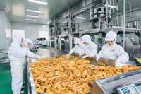 Chips de Camote Salados y Dulces Fritos al Vacío, Saludables y Crujientes, en Bolsa, Diseño Personalizado al por Mayor
