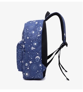 Waterproof Oxford Cloth Backpack with Clear Sweet Print Fashionable School Bag Elite Custom Other Student Backpack D-010 - Product Image 3