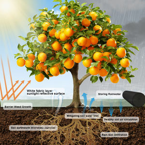 Film <span class=keywords><strong>de</strong></span> <span class=keywords><strong>paillage</strong></span> biodégradable <span class=keywords><strong>de</strong></span> couleur blanche respirant laminé réfléchissant la lumière du soleil résistant aux UV à 3% pour l'agriculture des vergers - Product Image 4