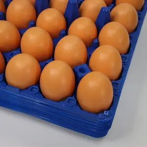 Factory Directly Supermarket Rectangular Packaging 30 Holes Eggs Tray Plastic Food Packaging Eggs Carton