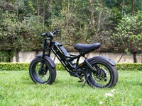 Bicicleta Eléctrica con Llantas Anchas de 20 Pulgadas, 1000W, 52V, 60Ah, para Todo Terreno, Playa, Nieve, Montaña, para Adultos