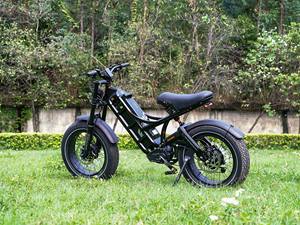 Bicicleta Eléctrica con Llantas Anchas de 20 Pulgadas, 1000W, 52V, 60Ah, para Todo Terreno, Playa, Nieve, Montaña, para Adultos - Product Image 3