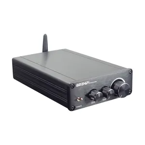 BRZHIFI Hochwertiger TPA3255 BT5.0 Audiophile HIFI 300W 300W LDAC Stereo Audio Amp 2.0 Kanal Mini Digital verstärker