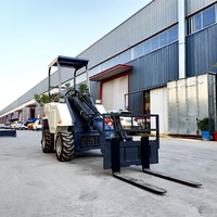 Chinesischer Hersteller Mini-Telehandler Teleskopgabelstapler Lader 2 Tonnen Kompakter Kleiner Teleskoplader