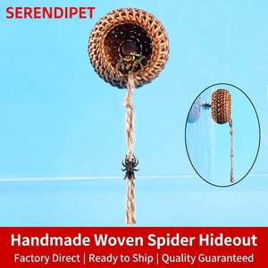 Caverne cachette pour araignées sauteuses avec corde d'escalade, abri fait main pour tarantules, petit enclos pour insectes, accessoires d'<span class=keywords><strong>habitat</strong></span> pour crabes - Product Image 2