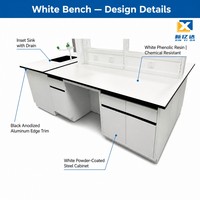 Banc de travail en acier pour laboratoire avec armoires de rangement pour produits chimiques, idéal pour hôpitaux, écoles et entrepôts