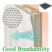 Membrane respirante pour l'isolation des toitures et des murs des bâtiments