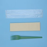 Doos Bruiloft Kids Case Met Doorzichtig Goud Papier Zware Sets Kleine Fama Hotel Plastic Bestek Gehamerd Ayd Familie Fruit Vork Plastic