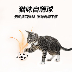 Balle rebondissante sur le thème du chat, jouet interactif pour chat, dispositif pour taquiner les chats, jouet pour animaux de compagnie. - Product Image 5