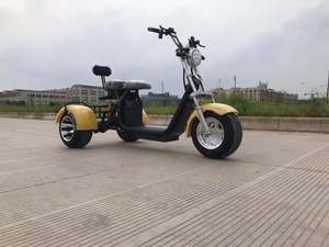 <span class=keywords><strong>รถ</strong></span>สามล้อไฟฟ้า Citycoco ได้รับการรับรองมาตรฐาน COC EEC 60V กำลังไฟ >250 วัตต์ แบบเปิดประทุน สำหรับ 2 ที่นั่ง - Product Image 1
