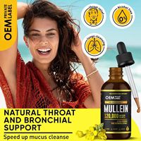 Gouttes de feuilles de molène personnalisées OEM Benevolent TK Bestseller – Soutien immunitaire et absorption liquide multivitaminée – Fabrication en vrac