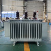 Transformateur de puissance immergé dans l'huile de haute qualité Série S11 315 kVA 10 kV, équipement électrique triphasé