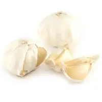 Frozen Garlic Cubes, Packaging Size: 12 Pcs
