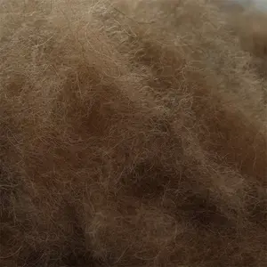 Harga Kompetitif Warna Alami Carded Dehaired Camel Wool Fiber
