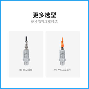 PCM300GP Ceramic <b>Pressure</b> <b>Transmitter</b> 0.5% Accuracy 4-20mA Output M20X1.5 IP65 For Industrial Use - Product Image 5