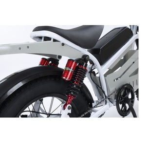 Bicicletta Elettrica <span class=keywords><strong>E</strong></span>-bike a Consegna Rapida, 48V 250W, Doppi Motori, 7 Velocità, Ruote Fat da 20 Pollici - Product Image 5