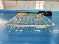 Matelas d'eau gonflable transparent personnalisable et plateforme de loisirs gonflable aquatique
