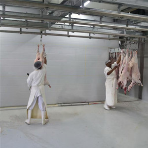 Riel de tubo de línea de sacrificio de cadena de transmisión automática, riel plano de doble riel para ganado, ovejas, <span class=keywords><strong>matadero</strong></span> de cerdos - Product Image 1