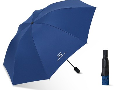 Bleu marine