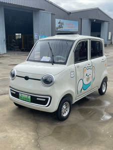 13-Zoll Chinesisches Mini-Elektroauto für Kurzstrecken-Pendlerfahrten, 100 km Reichweite, 3 Personen, Blei-Säure-Batterien - Product Image 1