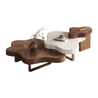 Table basse en bois de style italien, luxe léger, design vintage, pour petit appartement, salon haut de gamme
