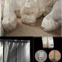 3lb tout en un substrat de culture de champignons et de baies de seigle dans un sac de culture avec port d'injection et filtre