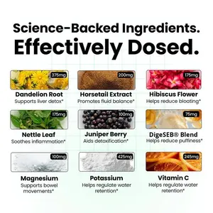 Poudre Déballante pour Soutenir le Confort et le Soulagement Digestifs, Complément Déballant aux <span class=keywords><strong>Enzymes</strong></span> <span class=keywords><strong>Digestives</strong></span> pour Femmes et Hommes - Product Image 2