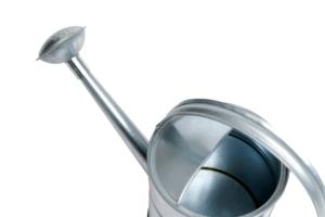 บัวรดน้ำโลหะชุบสังกะสี2L กระป๋องอุปกรณ์สำหรับพืชสวนกลางแจ้งในร่มที่มีด้ามจับและพวยกา - Product Image 3