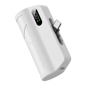 5000mAh Output 20W dual-plug capsule portable power bank battery easy carry for outdoor - Product Image 1