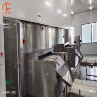 Grand congélateur tunnel automatique industriel en acier inoxydable avec moteur pour légumes, viandes et fruits de mer surgelés, haute productivité