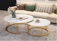 Ensemble de table basse moderne minimaliste or et blanc, meubles décoratifs multifonctionnels