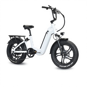 Scooter/Motocicletta Elettrica a Due Ruote con Pneumatici Larghi da 20 Pollici, Motore Brushless, Batteria al Litio da 20Ah, Sospensione Soft-tail Esclusiva - Product Image 1