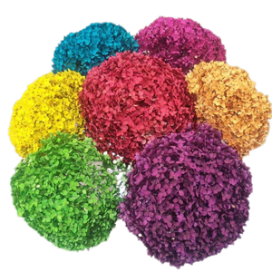 Absorption Éternelle Tige Unique Anna <span class=keywords><strong>Hortensia</strong></span> Préservé Fleur Séchée <span class=keywords><strong>Hortensia</strong></span> Opp Sac Cadeau Valentine <span class=keywords><strong>Hortensia</strong></span> Préservé - Product Image 2