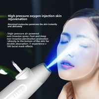 Hydratant haute pression portable, jet d'eau oxygénée, peeling facial, spa, nano-pulvérisation, injecteur de maquillage, prise EU/US, rajeunissement de la peau