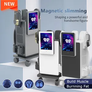 2 Handgrepen Body Sculpting Machine Rf Spierstimulator Elektrische Spierstimulatie Machine Ems Afslanken Cellulitis Verwijdering Machine