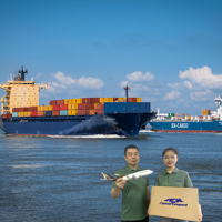 En hızlı ve en ucuz Ningbo Shanghai Guangdong nakliye ajan Farred ileri gemi çin abd İngiltere japonya kanada ajan