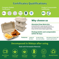 Oasis baru 2025 850ml 9 inci Biodegradable & setup stabil Bagasse sekali pakai togo kotak makanan