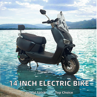 Vélo de ville électrique de haute qualité 14 pouces, série 250, moteur sans balais, 6 vitesses, pneus pleins, capacité de charge 200 kg, acier au carbone, batterie au plomb-acide