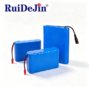 Batterie LiFePO4 personnalisée OEM/ODM d'usine 36V 48V 20Ah~50Ah pour robot portable médical, esthétique et AGV/UGV d'entrepôt - Product Image 3